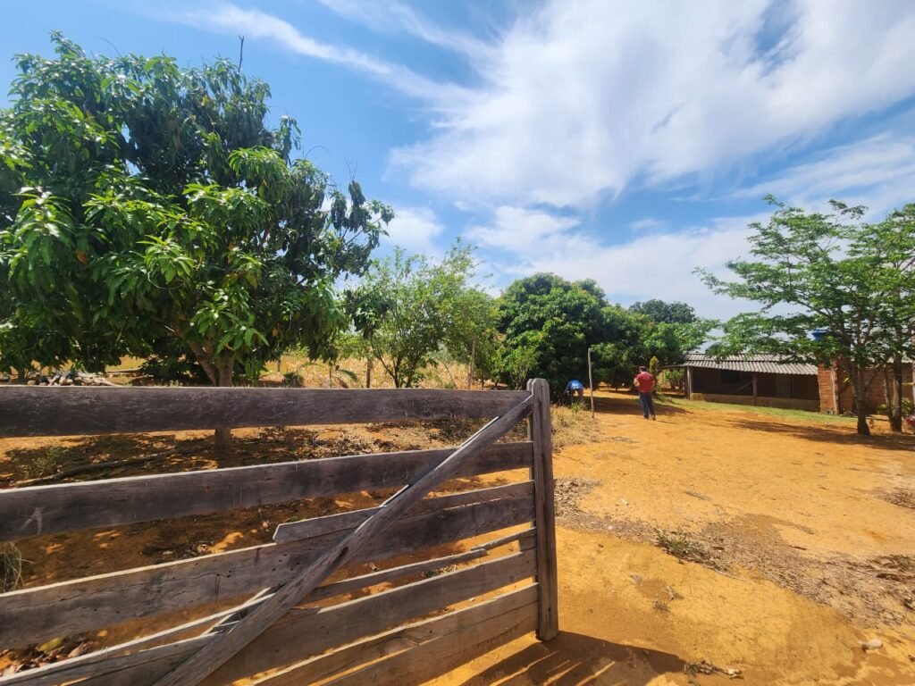 Fazenda Produzindo – Soja – Milho – Feijão – Propriedade Rural na Chapada dos Veadeiros – 28km de Alto Paraíso  de Goiás
