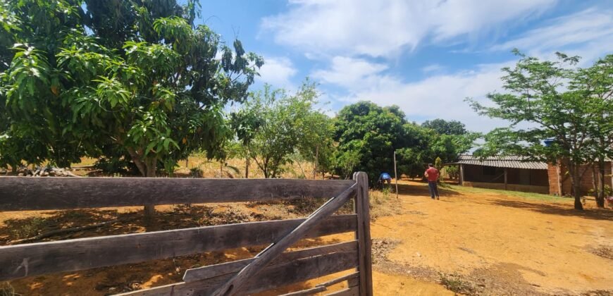 Fazenda Produzindo – Soja – Milho – Feijão – Propriedade Rural na Chapada dos Veadeiros – 28km de Alto Paraíso  de Goiás