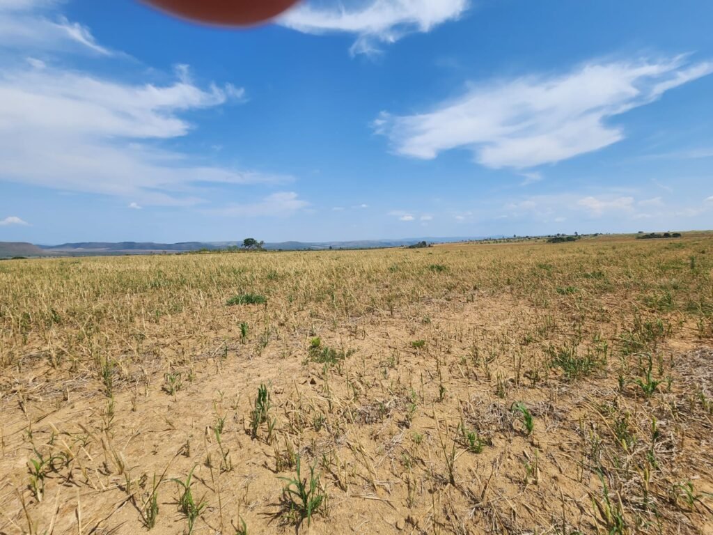 Fazenda Produzindo – Soja – Milho – Feijão – Propriedade Rural na Chapada dos Veadeiros – 28km de Alto Paraíso  de Goiás