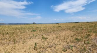 Fazenda Produzindo – Soja – Milho – Feijão – Propriedade Rural na Chapada dos Veadeiros – 28km de Alto Paraíso de Goiás Fazenda Produzindo – Soja – Milho – Feijão – Propriedade Rural na Chapada dos Veadeiros – 28km de Alto Paraíso de Goiás
