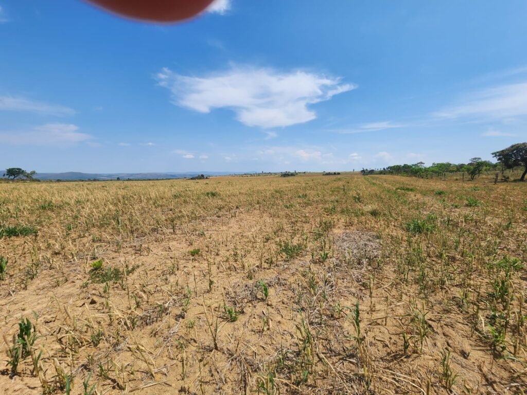 Fazenda Produzindo – Soja – Milho – Feijão – Propriedade Rural na Chapada dos Veadeiros – 28km de Alto Paraíso  de Goiás