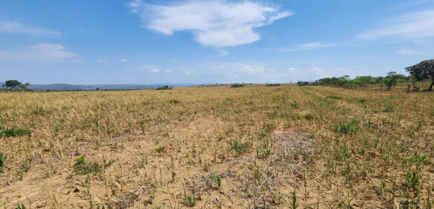 Fazenda Produzindo – Soja – Milho – Feijão – Propriedade Rural na Chapada dos Veadeiros – 28km de Alto Paraíso  de Goiás