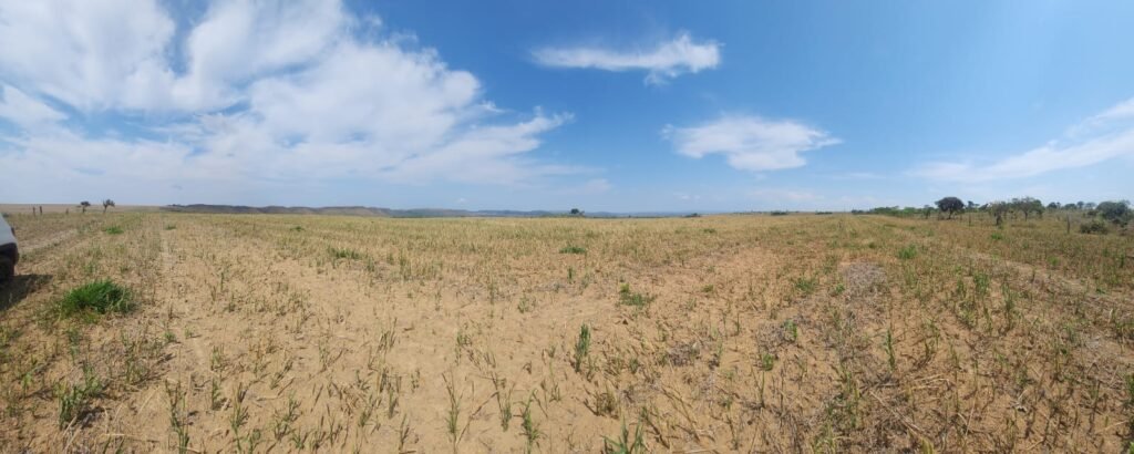 Fazenda Produzindo – Soja – Milho – Feijão – Propriedade Rural na Chapada dos Veadeiros – 28km de Alto Paraíso  de Goiás