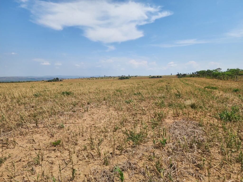 Fazenda Produzindo – Soja – Milho – Feijão – Propriedade Rural na Chapada dos Veadeiros – 28km de Alto Paraíso  de Goiás