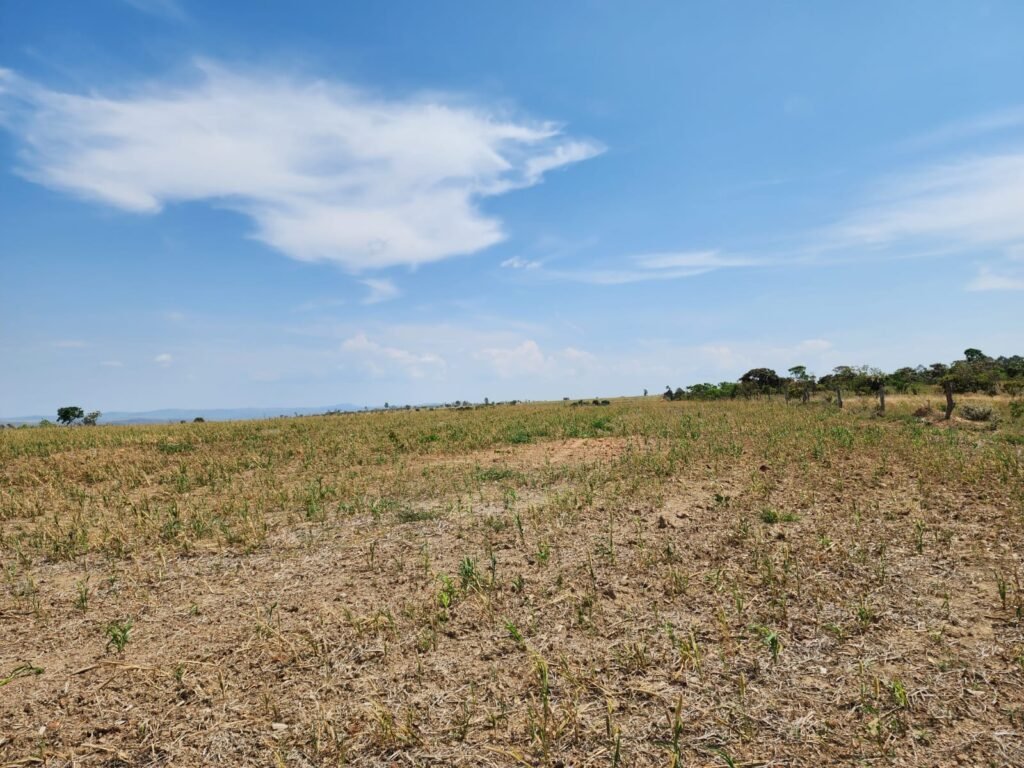 Fazenda Produzindo – Soja – Milho – Feijão – Propriedade Rural na Chapada dos Veadeiros – 28km de Alto Paraíso  de Goiás