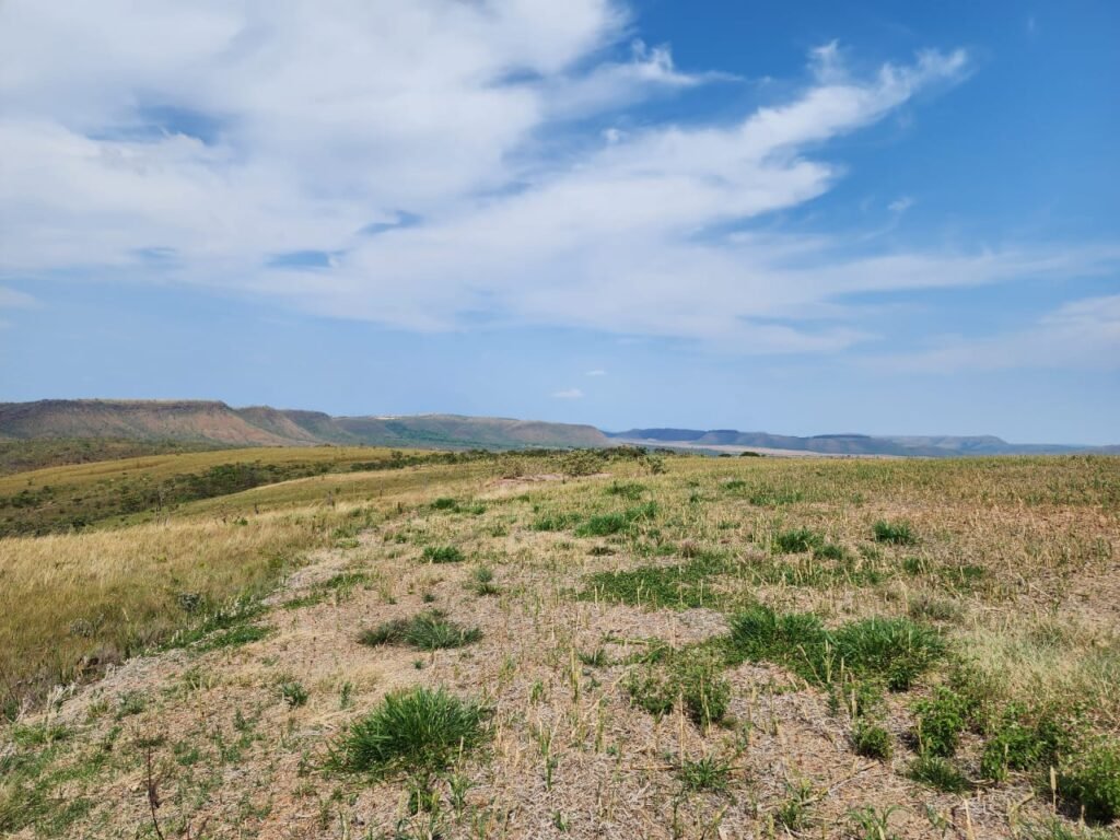 Fazenda Produzindo – Soja – Milho – Feijão – Propriedade Rural na Chapada dos Veadeiros – 28km de Alto Paraíso  de Goiás