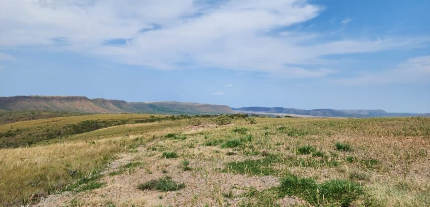 Fazenda Produzindo – Soja – Milho – Feijão – Propriedade Rural na Chapada dos Veadeiros – 28km de Alto Paraíso  de Goiás
