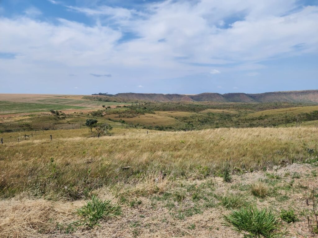 Fazenda Produzindo – Soja – Milho – Feijão – Propriedade Rural na Chapada dos Veadeiros – 28km de Alto Paraíso  de Goiás