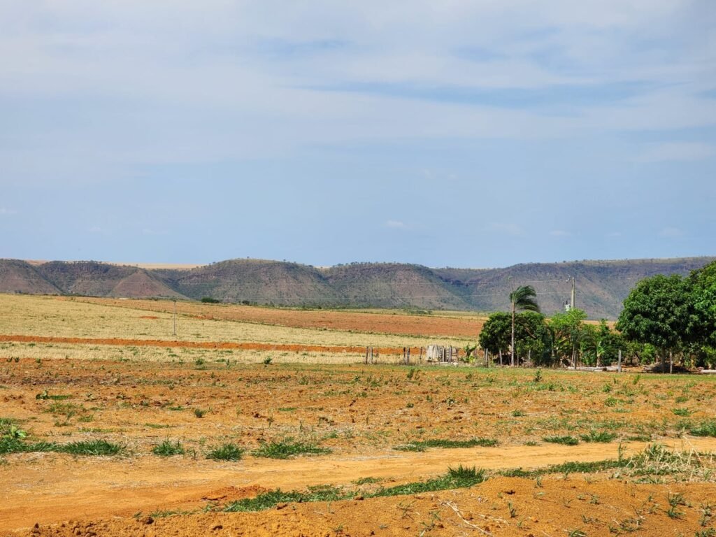 Fazenda Produzindo – Soja – Milho – Feijão – Propriedade Rural na Chapada dos Veadeiros – 28km de Alto Paraíso  de Goiás