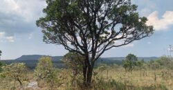 Chácara 4 ha – 12km de Alto Paraíso sentido São Jorge – Fácil Acesso