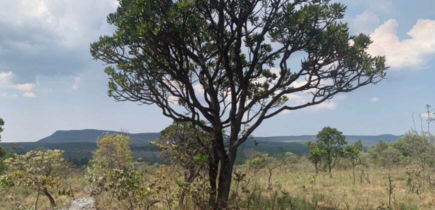 Chácara 4 ha – 12km de Alto Paraíso sentido São Jorge – Fácil Acesso