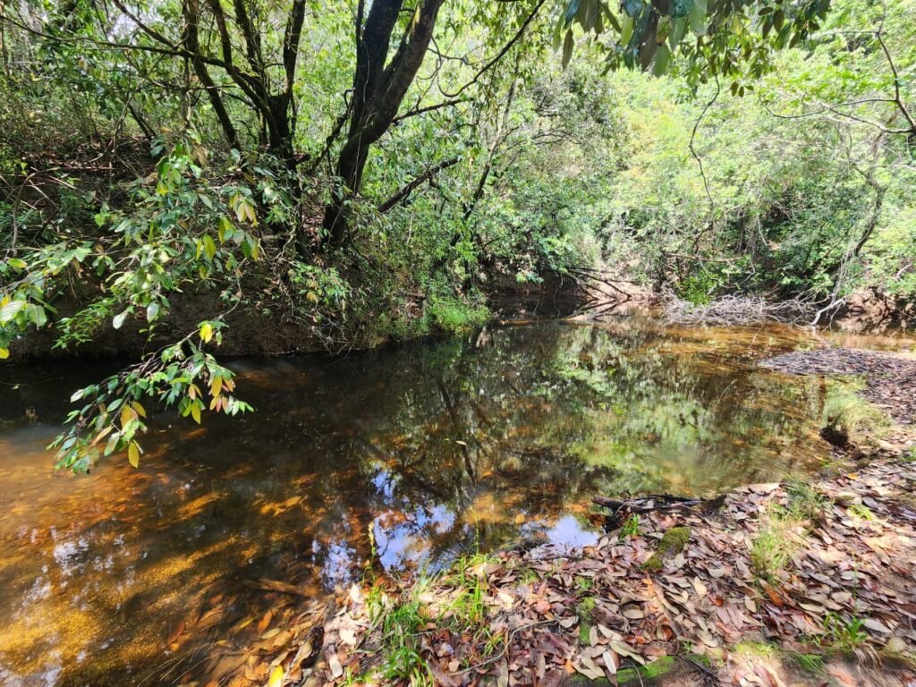 Chácara – Casa – Margem Rio Das Cobras – 12km de Alto Paraíso de Goiás