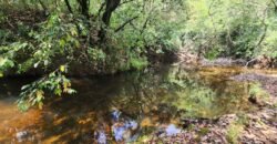 Chácara – Casa – Margem Rio Das Cobras – 12km de Alto Paraíso de Goiás Chácara – Casa – Margem Rio Das Cobras – 12km de Alto Paraíso de Goiás