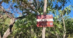 Lote 528m2 – Eldorado Etapa 2 – Alto Paraíso de Goiás Lote 528m2 – Eldorado Etapa 2 – Alto Paraíso de Goiás