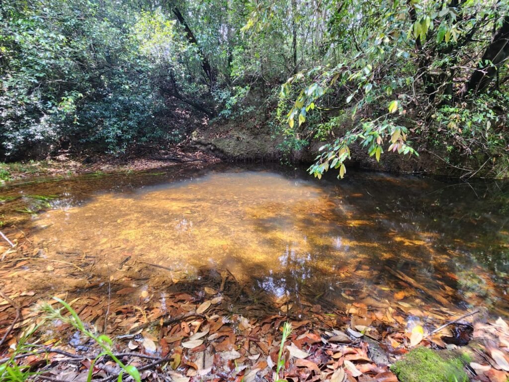 Chácara – Casa – Margem Rio Das Cobras – 12km de Alto Paraíso de Goiás