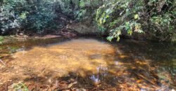 Chácara – Casa – Margem Rio Das Cobras – 12km de Alto Paraíso de Goiás Chácara – Casa – Margem Rio Das Cobras – 12km de Alto Paraíso de Goiás