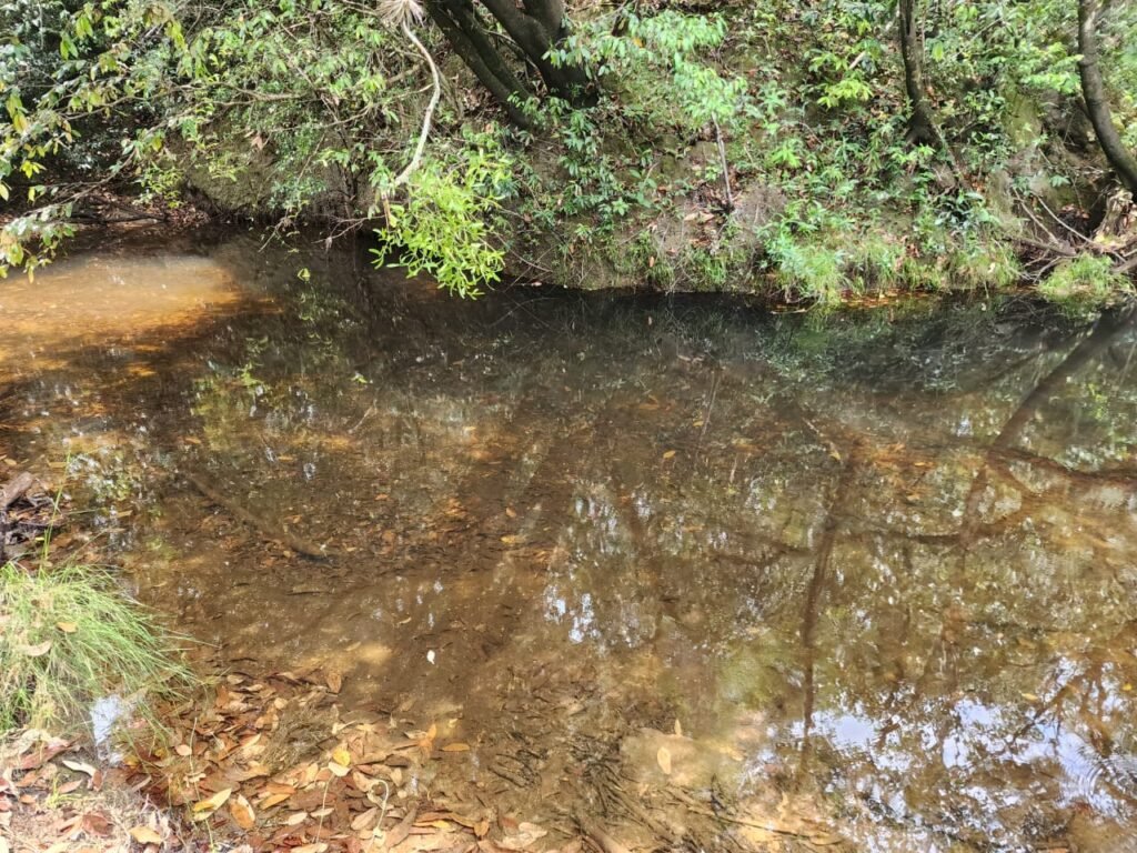 Chácara – Casa – Margem Rio Das Cobras – 12km de Alto Paraíso de Goiás