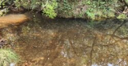 Chácara – Casa – Margem Rio Das Cobras – 12km de Alto Paraíso de Goiás Chácara – Casa – Margem Rio Das Cobras – 12km de Alto Paraíso de Goiás