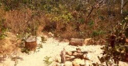 Casa Eldorado 2 – Alto Paraíso de Goiás – Chapada dos veadeiros Casa Eldorado 2 – Alto Paraíso de Goiás – Chapada dos veadeiros