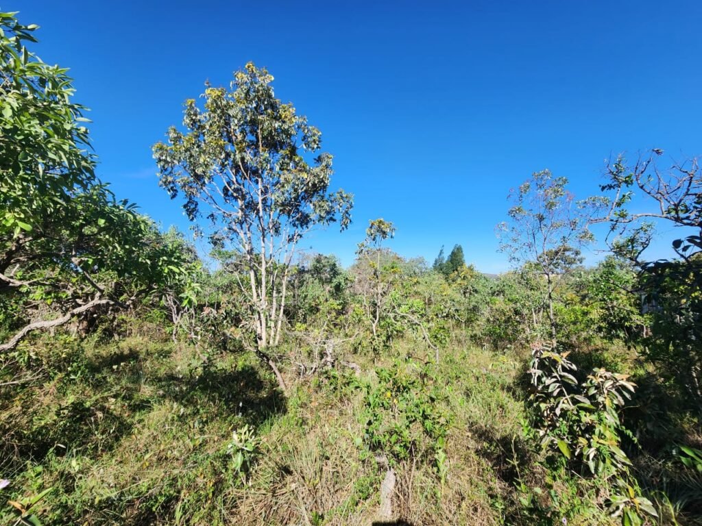 Lote 528m2 – Eldorado Etapa 2 – Alto Paraíso de Goiás