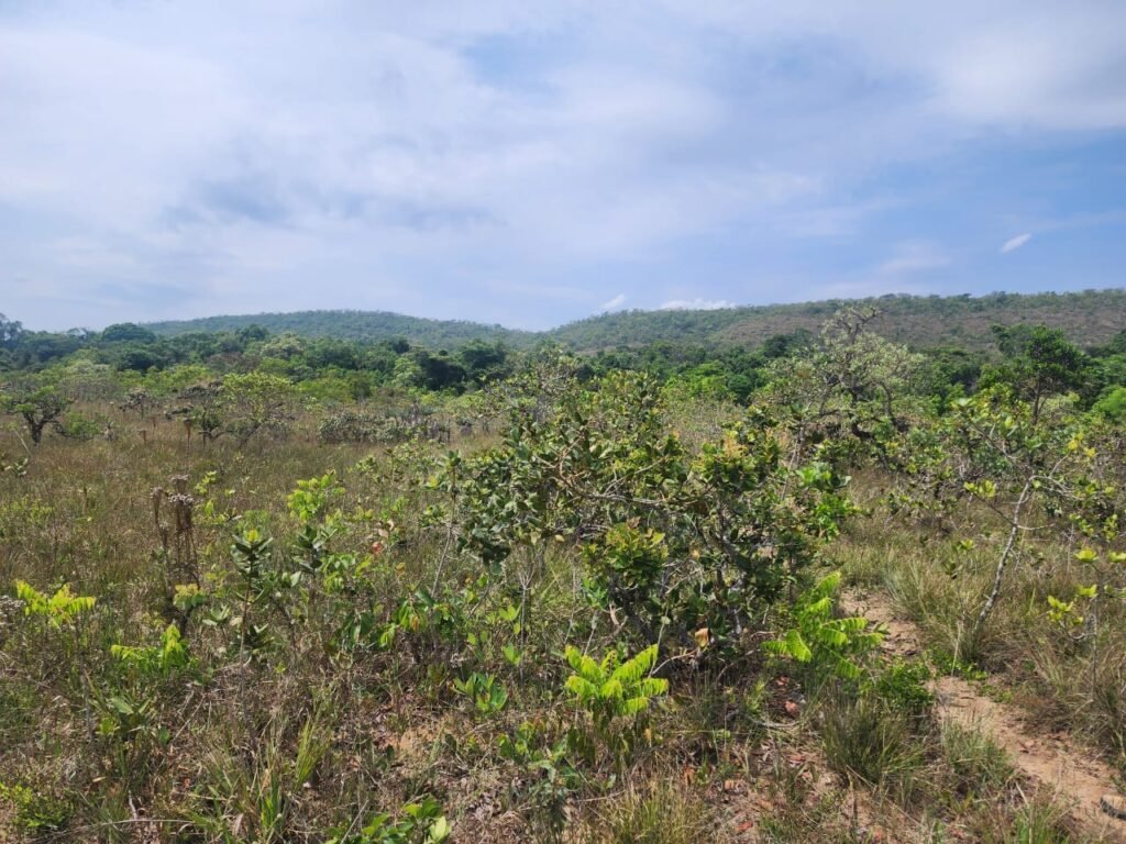 Chácara – Casa – Margem Rio Das Cobras – 12km de Alto Paraíso de Goiás