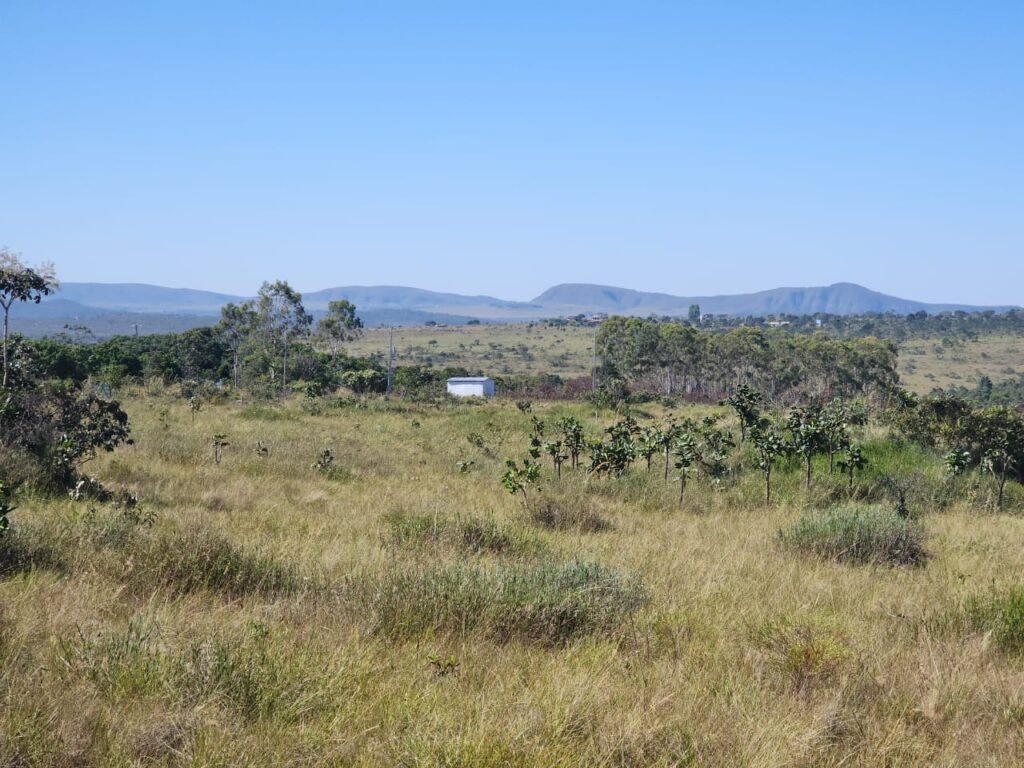Vende-se Chácara 18ha Vale Verde – Chapada dos Veadeiros