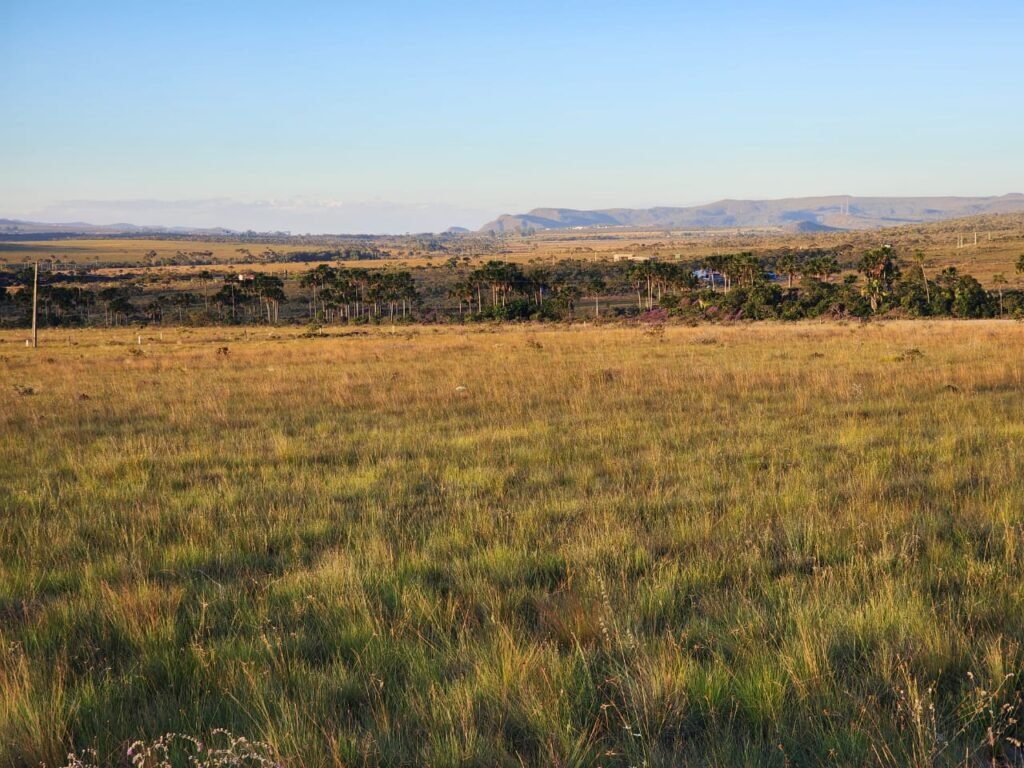 Vende-se Chácara 18ha Vale Verde – Chapada dos Veadeiros