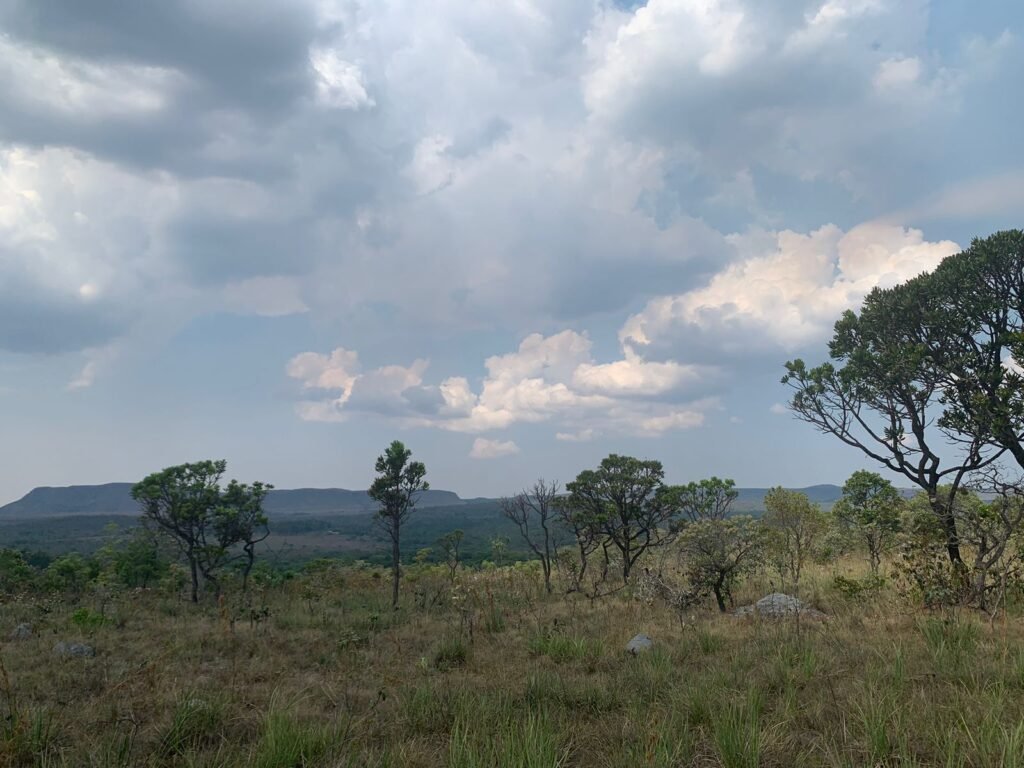 Chácara 4 ha – 12km de Alto Paraíso sentido São Jorge – Fácil Acesso