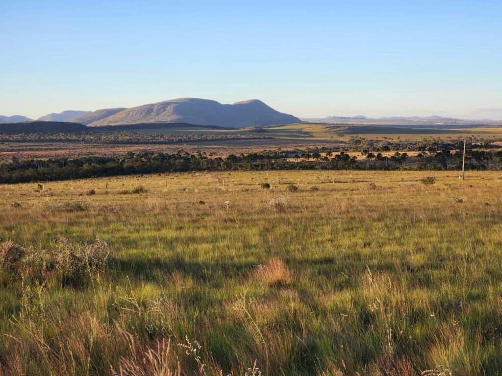 Vende-se Chácara 18ha Vale Verde – Chapada dos Veadeiros