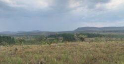 Chácara 4 ha – 12km de Alto Paraíso sentido São Jorge – Fácil Acesso