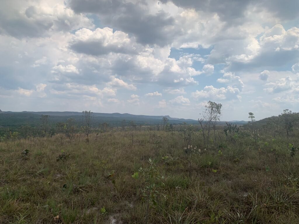 Chácara 4 ha – 12km de Alto Paraíso sentido São Jorge – Fácil Acesso