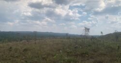 Chácara 4 ha – 12km de Alto Paraíso sentido São Jorge – Fácil Acesso