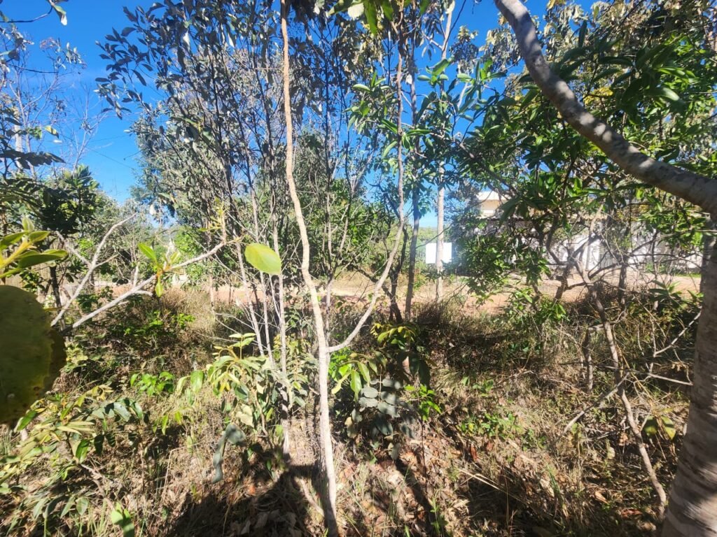 Vende-se Lote – Eldorado – Etapa 2 – Alto Paraíso de Goiás