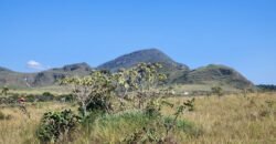 Vende-se Chácara 18ha Vale Verde – Chapada dos Veadeiros