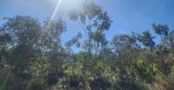 Vende-se Lote – Eldorado – Etapa 2 – Alto Paraíso de Goiás Vende-se Lote – Eldorado – Etapa 2 – Alto Paraíso de Goiás