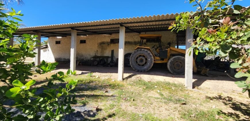 Fazenda 120 Alqueires – Pecuária/Agricultura – 2,5km de Teresina de Goiás – Chapada dos Veadeiros
