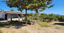 Fazenda 120 Alqueires – Pecuária/Agricultura – 2,5km de Teresina de Goiás – Chapada dos Veadeiros Fazenda 120 Alqueires – Pecuária/Agricultura – 2,5km de Teresina de Goiás – Chapada dos Veadeiros