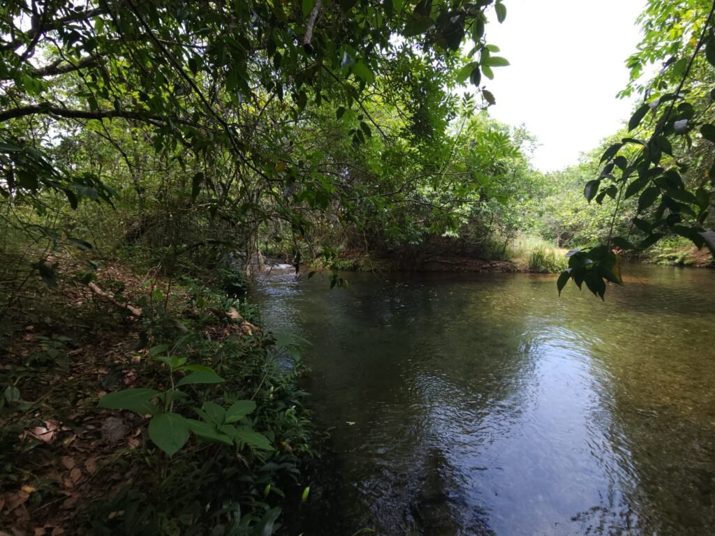 Maravilhosa Chácara de 37ha – Rio – Alto Paraíso de Goiás