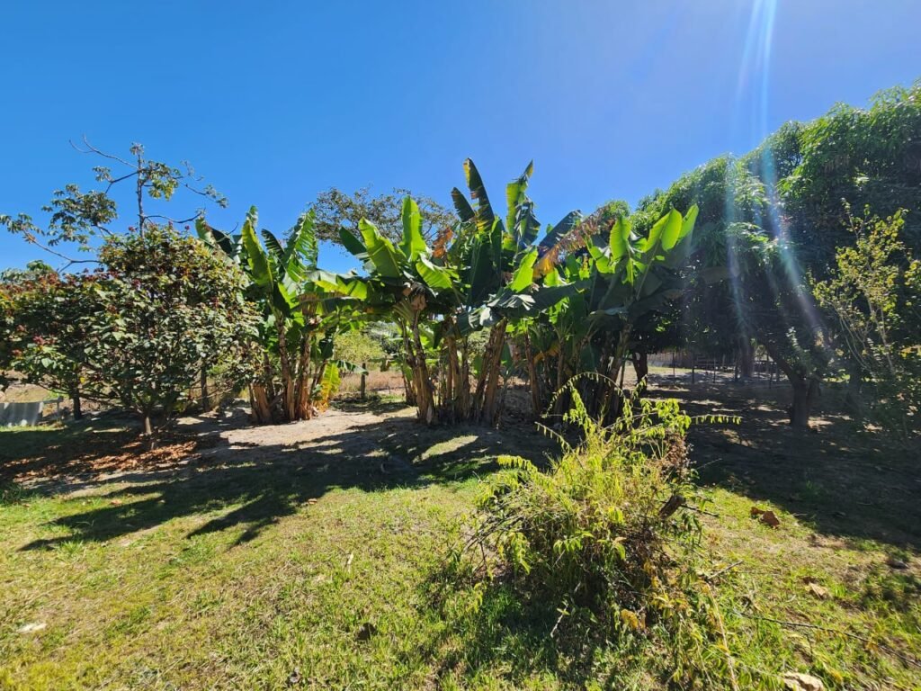 Fazenda 120 Alqueires – Pecuária/Agricultura – 2,5km de Teresina de Goiás – Chapada dos Veadeiros