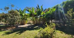 Fazenda 120 Alqueires – Pecuária/Agricultura – 2,5km de Teresina de Goiás – Chapada dos Veadeiros Fazenda 120 Alqueires – Pecuária/Agricultura – 2,5km de Teresina de Goiás – Chapada dos Veadeiros