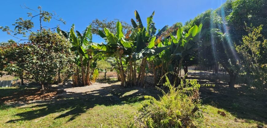 Fazenda 120 Alqueires – Pecuária/Agricultura – 2,5km de Teresina de Goiás – Chapada dos Veadeiros