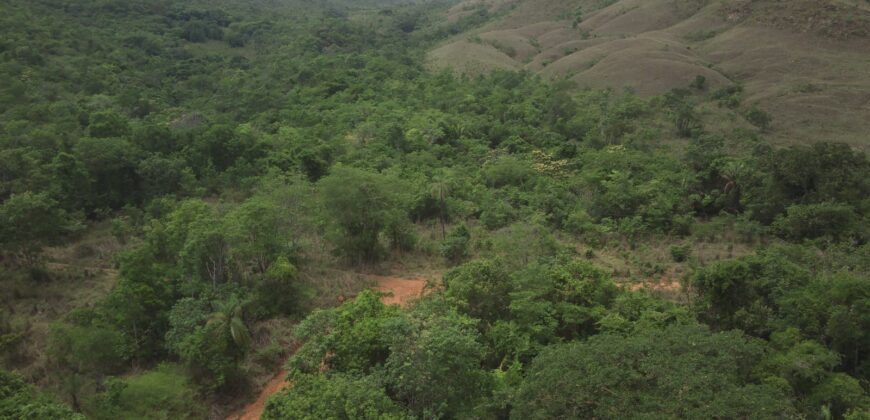 Maravilhosa Chácara de 37ha – Rio – Alto Paraíso de Goiás