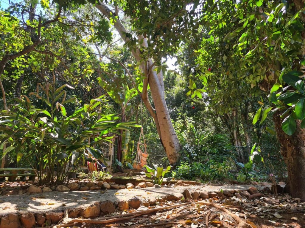 Vende-se Propriedade no Povoado Moinho – Alto Paraíso de Goiás