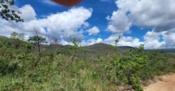 Fazenda 222ha com Cachoeira e Rio Vale do Macaco – Proximo a Cachoeira Macaquinhos – Alto Paraíso de Goiás Fazenda 222ha com Cachoeira e Rio Vale do Macaco – Proximo a Cachoeira Macaquinhos – Alto Paraíso de Goiás