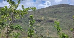 Fazenda 222ha com Cachoeira e Rio Vale do Macaco – Proximo a Cachoeira Macaquinhos – Alto Paraíso de Goiás Fazenda 222ha com Cachoeira e Rio Vale do Macaco – Proximo a Cachoeira Macaquinhos – Alto Paraíso de Goiás