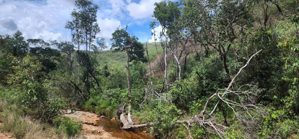 Fazenda 222ha com Cachoeira Coca Cola e Rio Vale do Macaco – Proximo a Cachoeira Macaquinhos – Alto Paraíso de Goiás