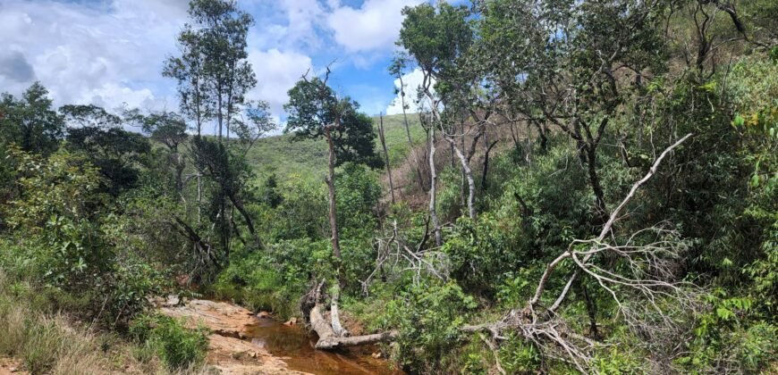 Fazenda 222ha com Cachoeira e Rio Vale do Macaco – Proximo a Cachoeira Macaquinhos – Alto Paraíso de Goiás