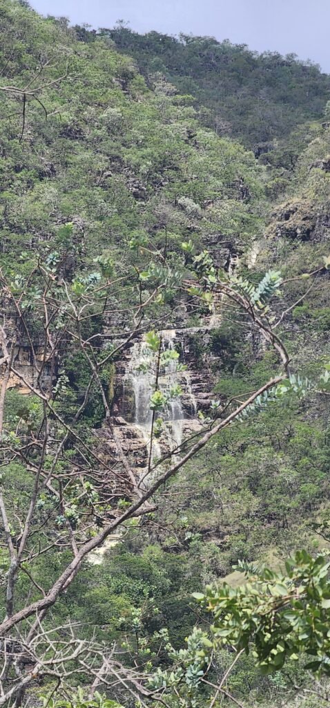 Fazenda 222ha com Cachoeira Coca Cola e Rio Vale do Macaco – Proximo a Cachoeira Macaquinhos – Alto Paraíso de Goiás