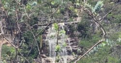 Fazenda 222ha com Cachoeira e Rio Vale do Macaco – Proximo a Cachoeira Macaquinhos – Alto Paraíso de Goiás Fazenda 222ha com Cachoeira e Rio Vale do Macaco – Proximo a Cachoeira Macaquinhos – Alto Paraíso de Goiás