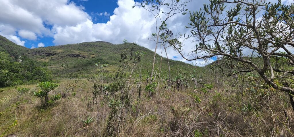 Fazenda 222ha com Cachoeira Coca Cola e Rio Vale do Macaco – Proximo a Cachoeira Macaquinhos – Alto Paraíso de Goiás